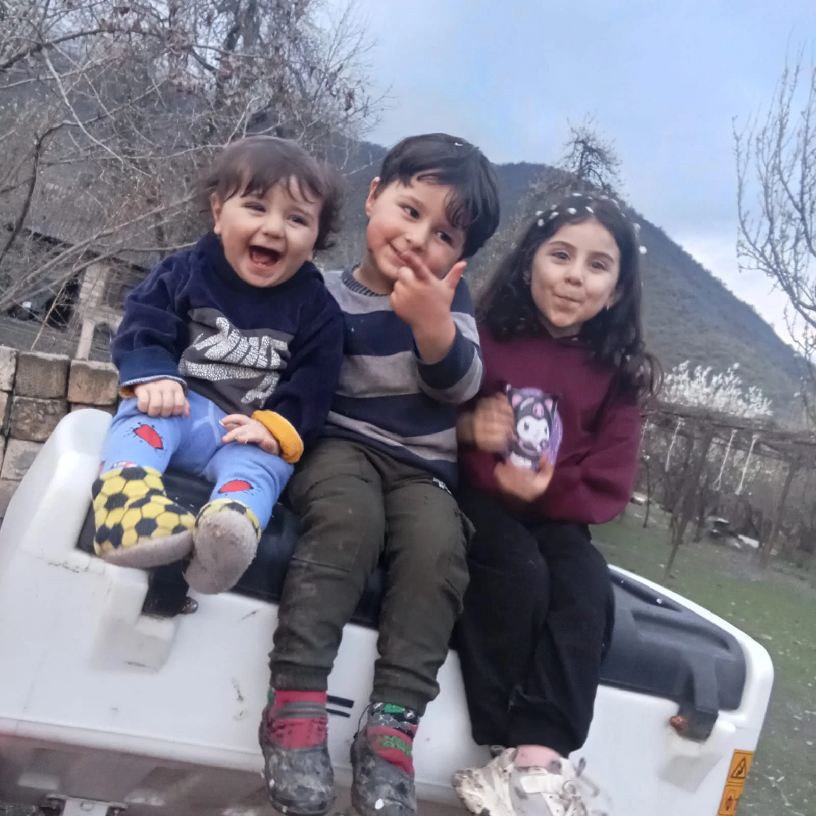 Useyd_2023